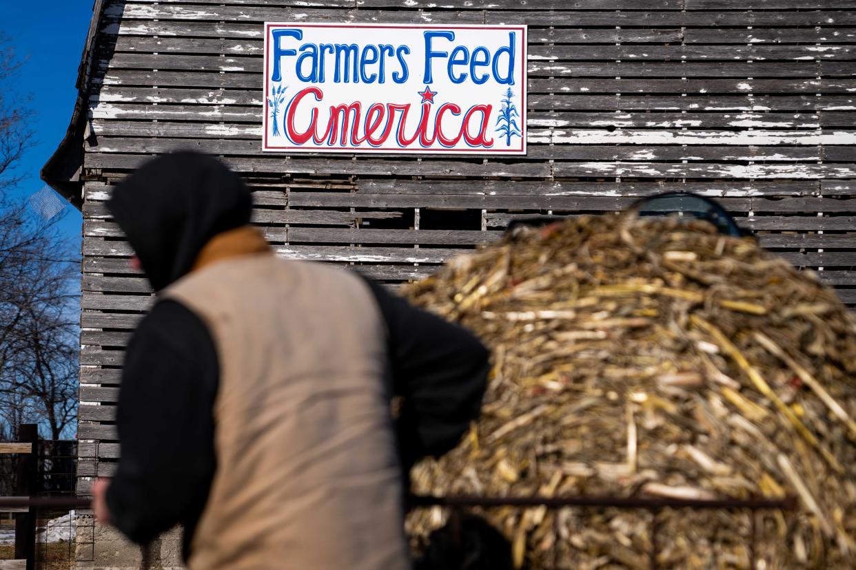 State Rep. Mike Sexton works to feed his sheep near Rockwell City.