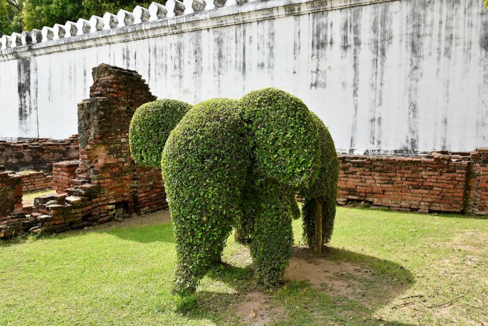 The hedges were more "lifelike" in the book.
