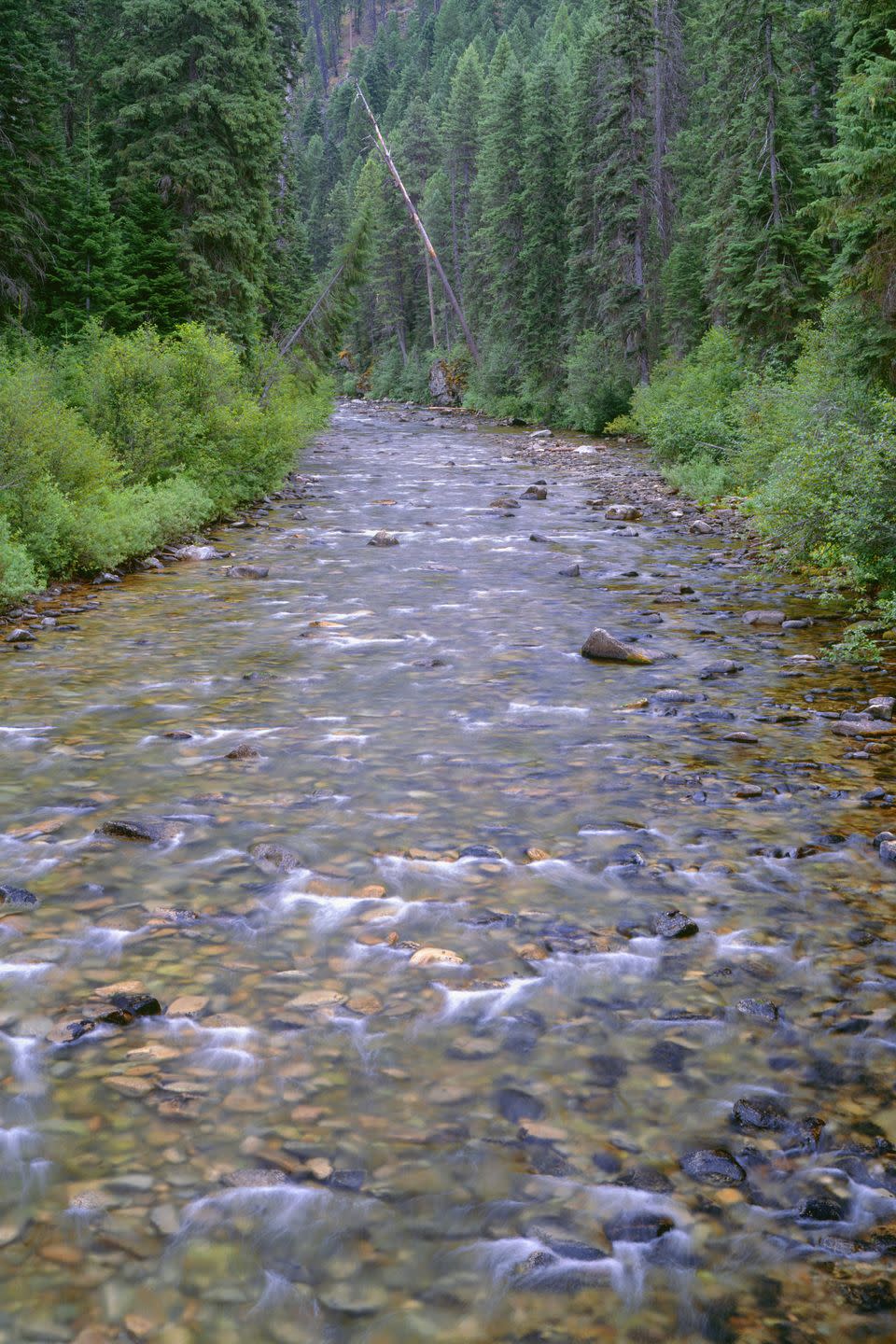 Warm River, Idaho