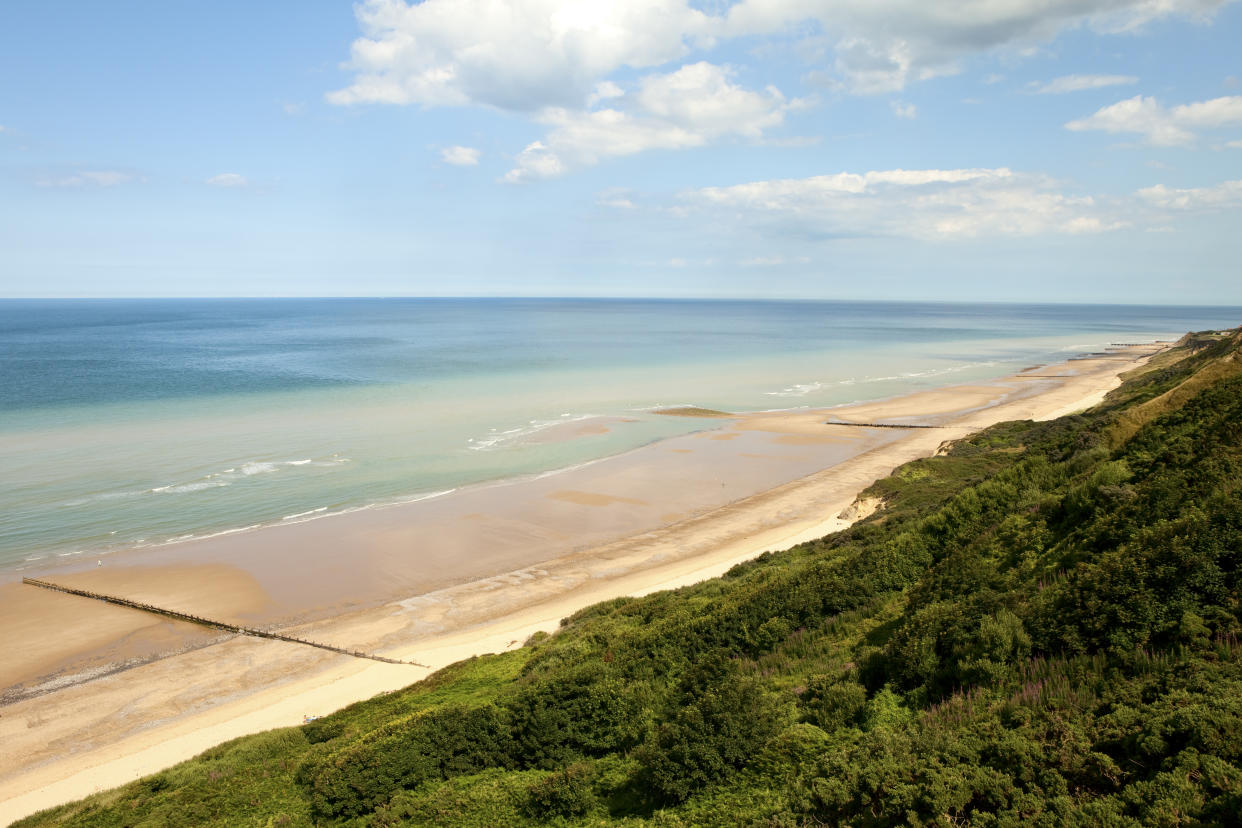 horizontal colour image taken from the cliff tops on the north norfolk coast at Cromer on the norfolk coastal path. The tide is out and huge sandy beaches, groynes and people walking are seen. Gorse and vegetation in the foreground.