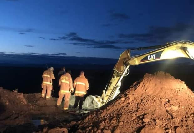 Whitehorse firefighters used an excavator to rescue a blind dog that had fallen into a deep crevice at a snow dump.