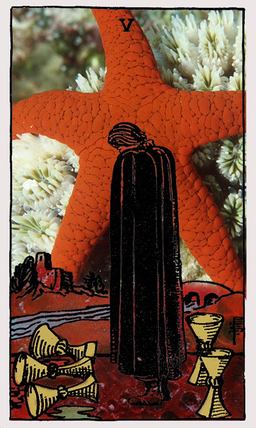 five of cups tarot card