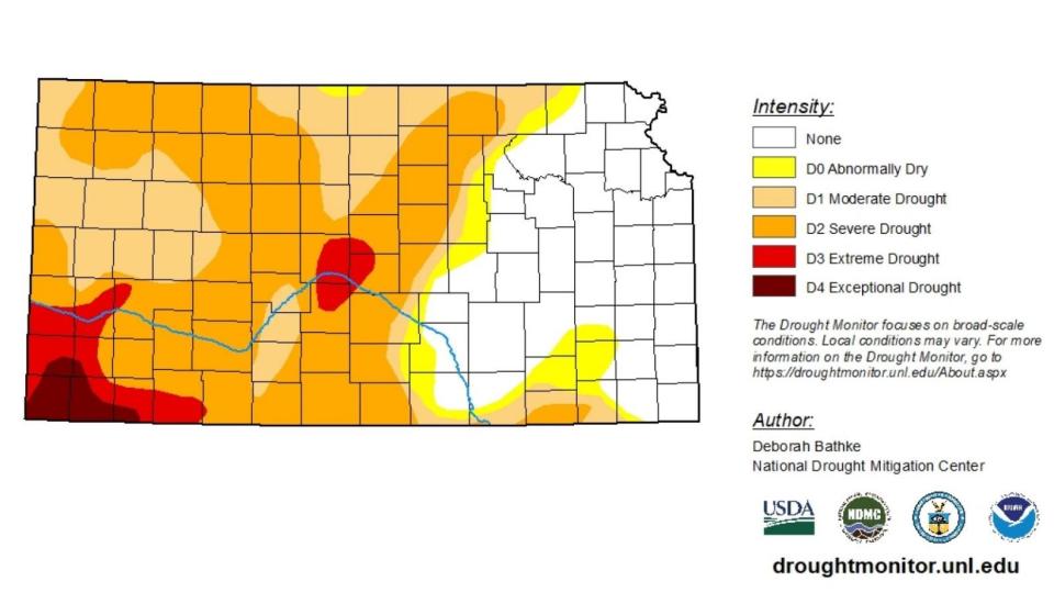 This map shows the drought conditions covering Kansas as of March 31, 2022.