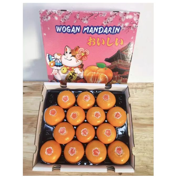 China mandarin oranges. (PHOTO: Lazada Malaysia)