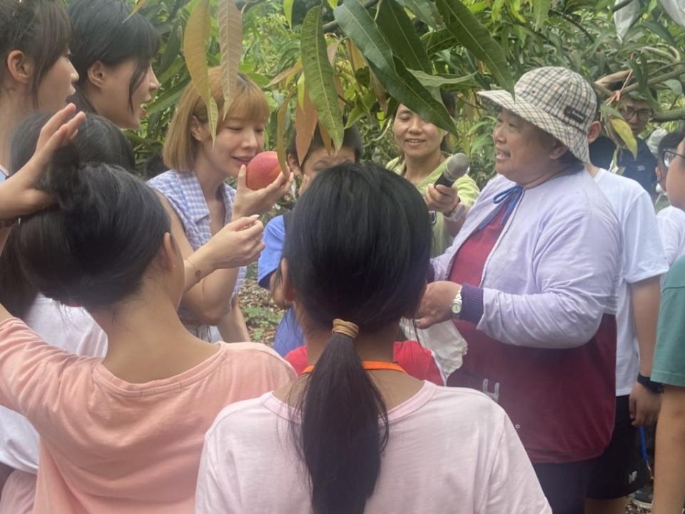 師父和兒童一起採芒果。（記者張淑娟攝）