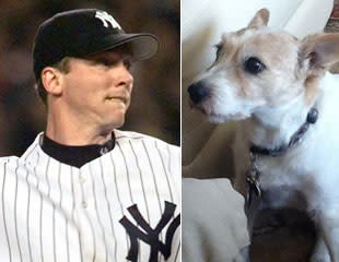 Famous Yankees dog dies at 16, played role in '98 season after biting David  Cone