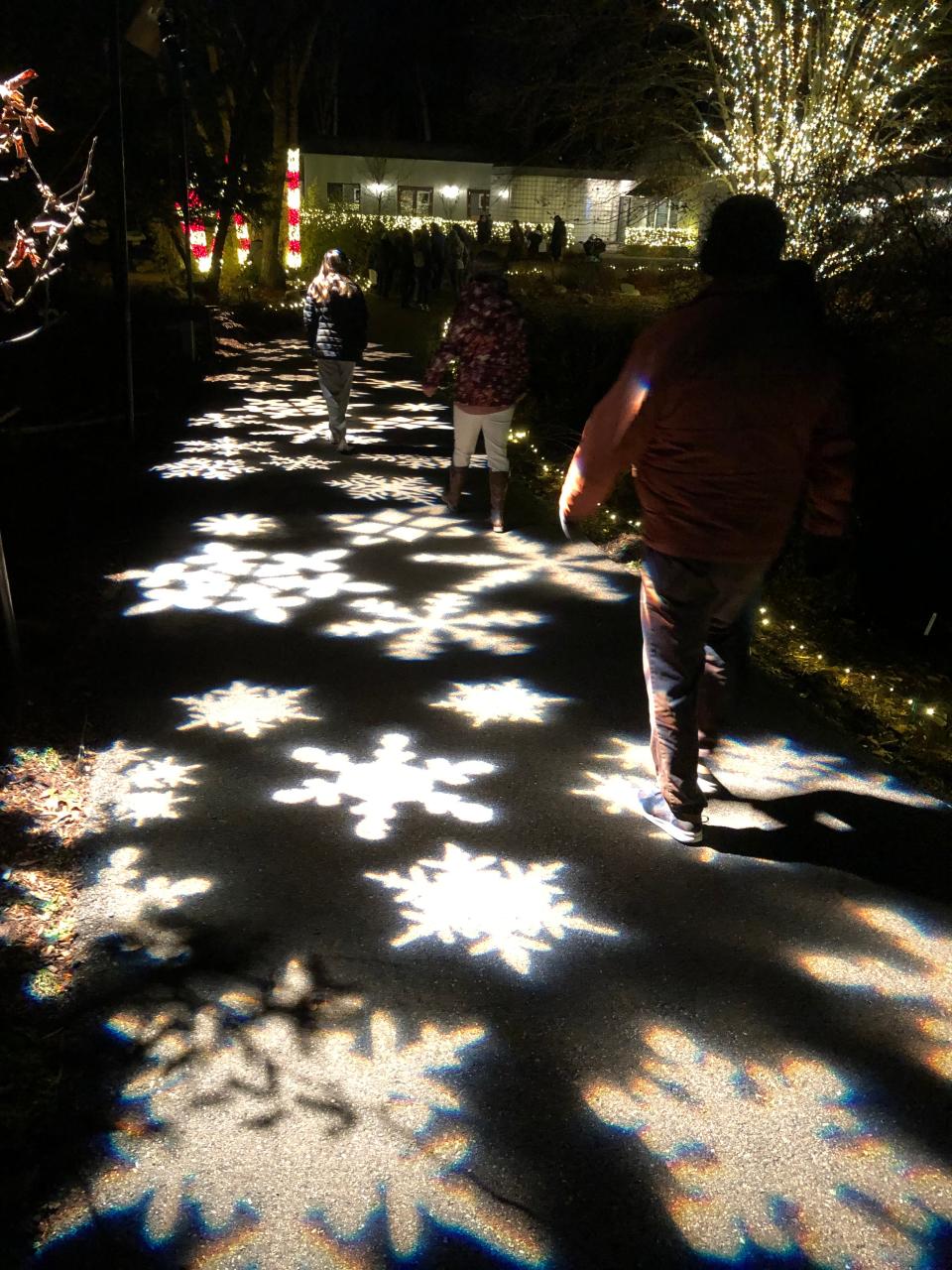 Fernwood Botanic Gardens brings back a light display that debuted in 2021, including these snowflakes projected onto a path.
