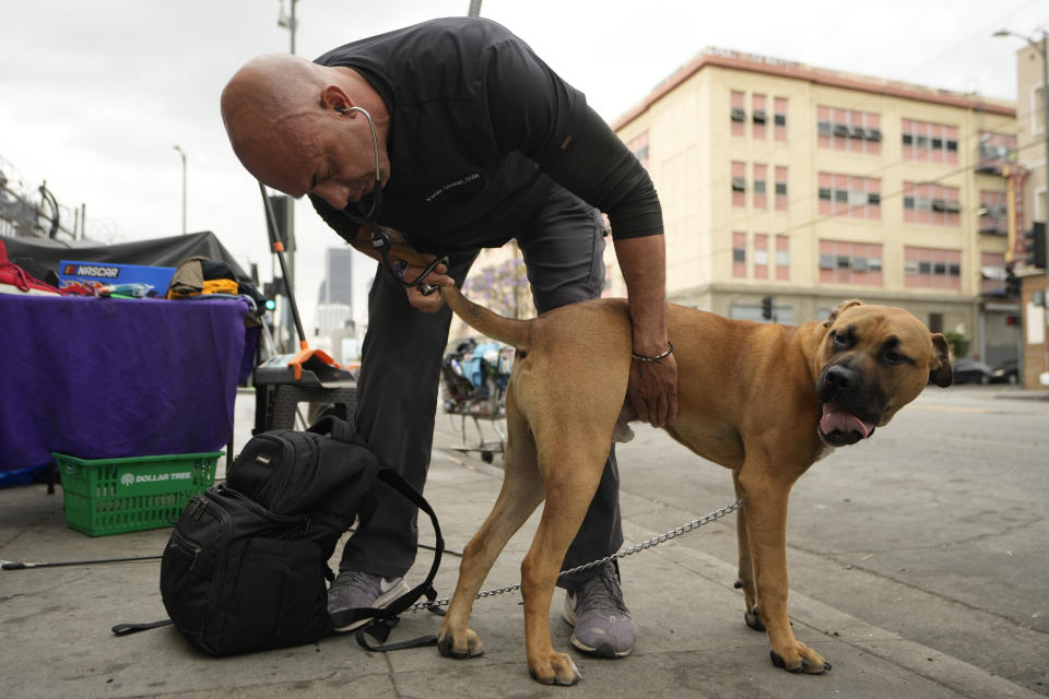 Dr. Kwane Stewart checks the health of a dog before giving it a rabies vaccine in the Skid Row area of Los Angeles on Wednesday, June 7, 2023. Stewart cherishes being able to make a small difference with a largely misunderstood community. He strives to treat every person on the streets with the same professionalism and care as he would a patient at his veterinary clinic. His mantra: no judgement, just help. (AP Photo/Damian Dovarganes)