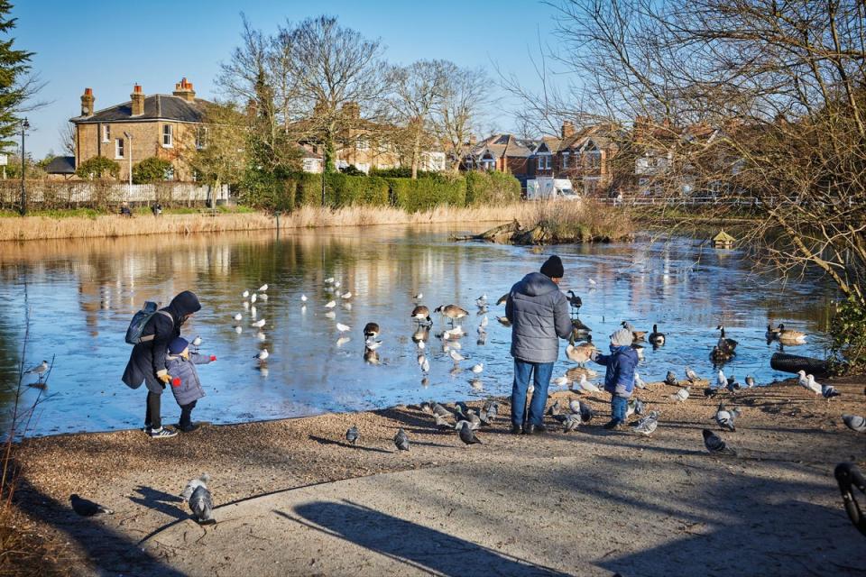 Country in the city in Chislehurst (Juliet Murphy)