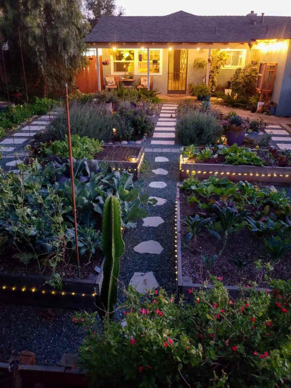 raised garden beds with fairy lights