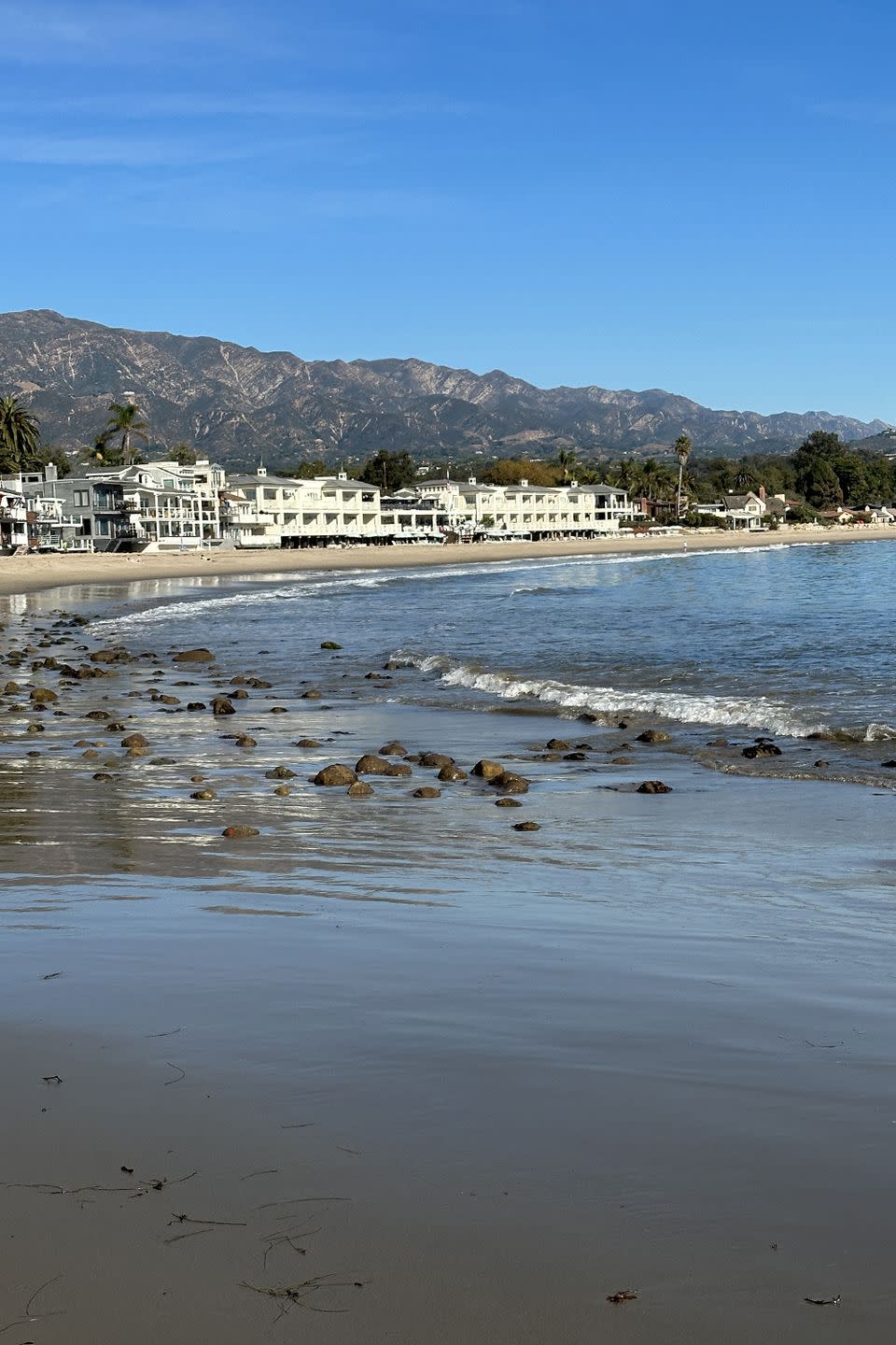 a beach with houses and trees