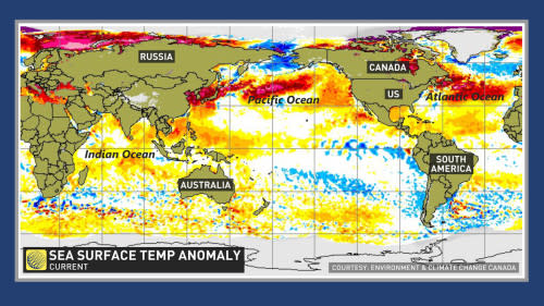 global sea surface temperature anomaly