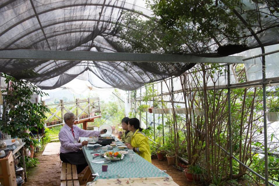 這裡採預約入園，用餐時會被綠意、花香包圍，還有山間的貓咪不時來訪。