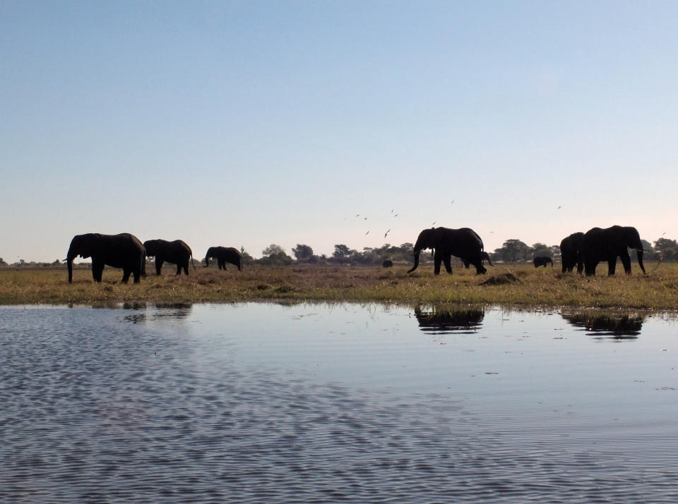 The couple visited Botswana early in their relationship. (Photo: Flickr/Tee La Rosa)