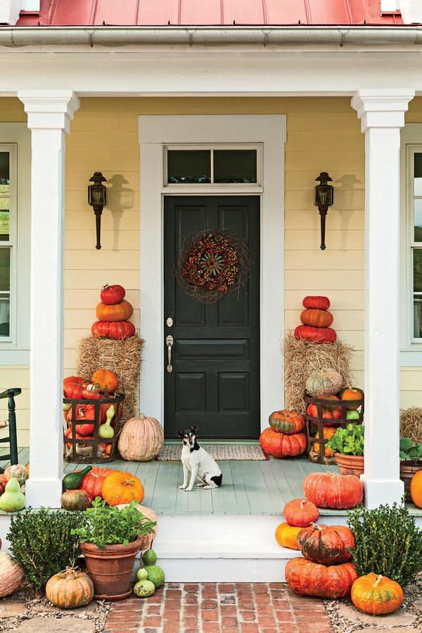 Pumpkins Galore