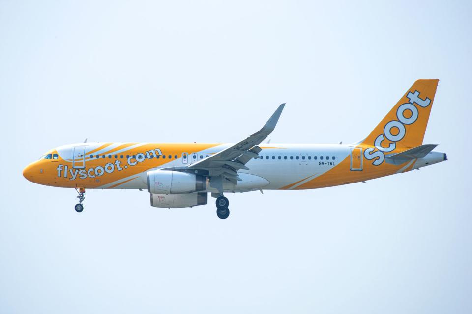 <p>Getty</p> Scoot Airline