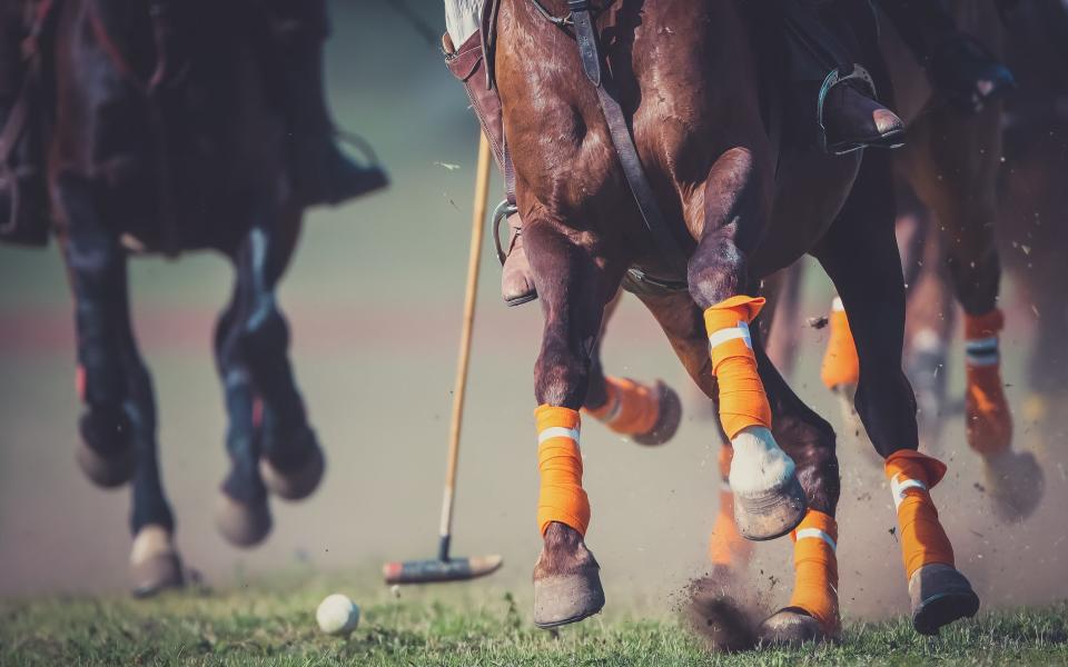 Polo is a quintessential Argentine pastime - Getty