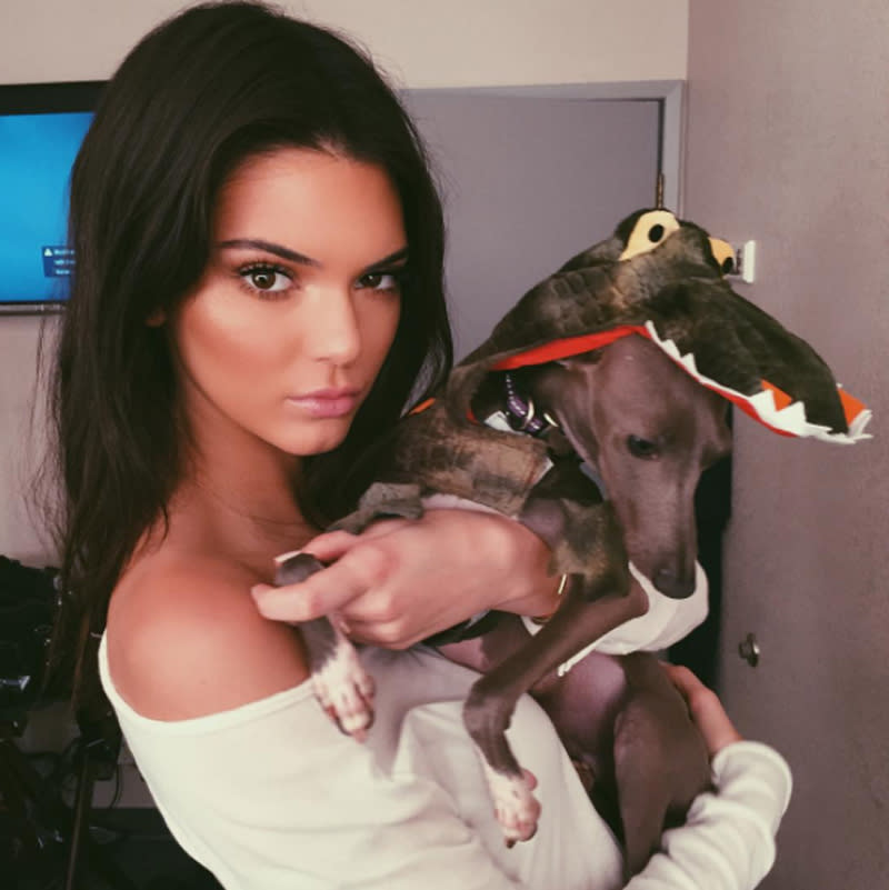 <p><span>Norman the dog sure is more camera-shy than his owner, Kendall Jenner, at least in this <a rel="nofollow noopener" href="https://www.instagram.com/p/5qHLLtjo22/" target="_blank" data-ylk="slk:2015 snapshot;elm:context_link;itc:0;sec:content-canvas" class="link ">2015 snapshot</a> she shared well ahead of Halloween. </span>(Photo: Instagram/Kendall Jenner) </p>