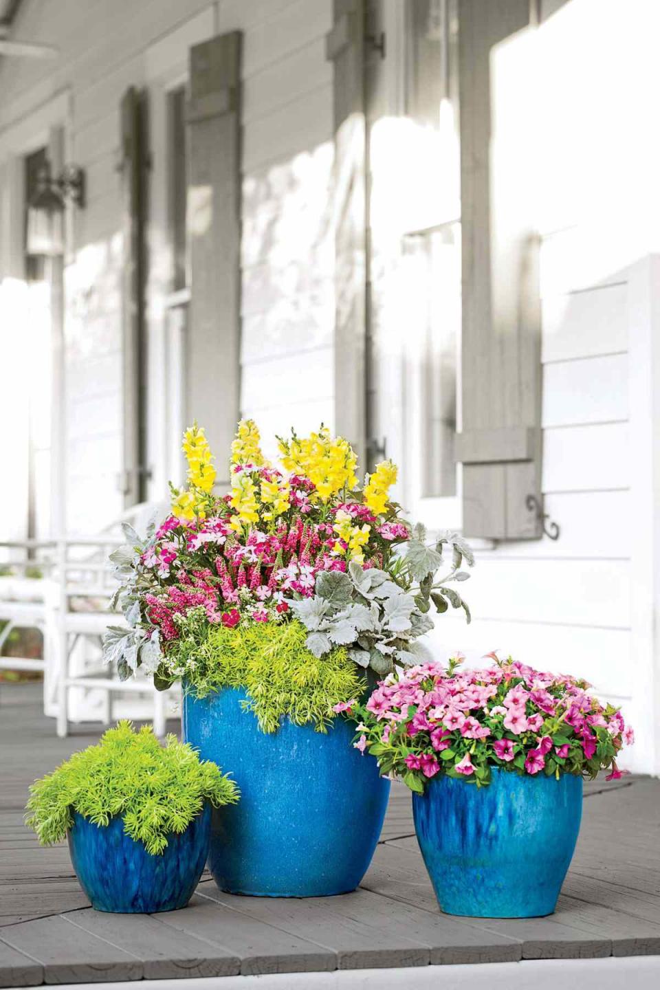 Use Brightly Colored Pots