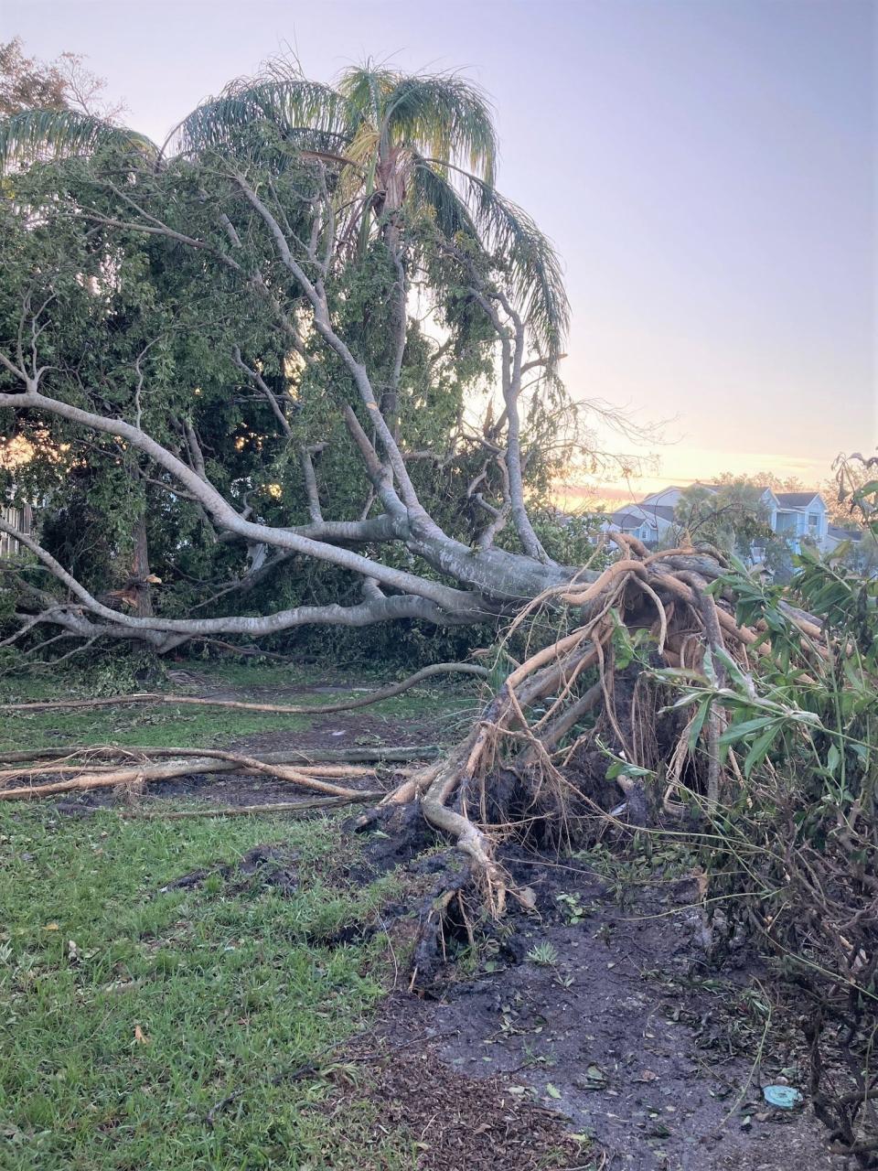 Following the devastation caused by Hurricane Ian The Retreat At Vista Lake apartment community located in Fort Myers like many others are working overtime to clean up debris.