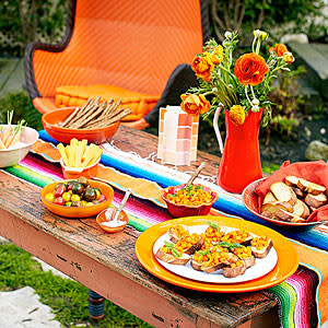 Outdoor Party Ideas