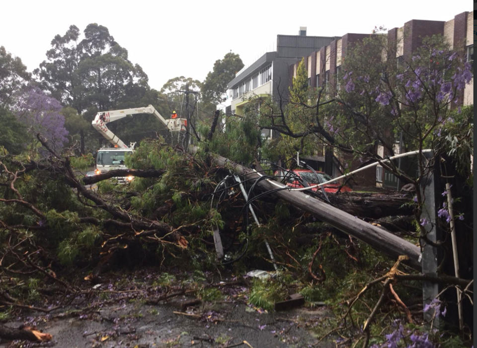 <span>More than 6000 customers across Sydney lost power during the storm, including residents in Chatswood after a falling tree snapped a pole. Photo: </span>Ausgrid