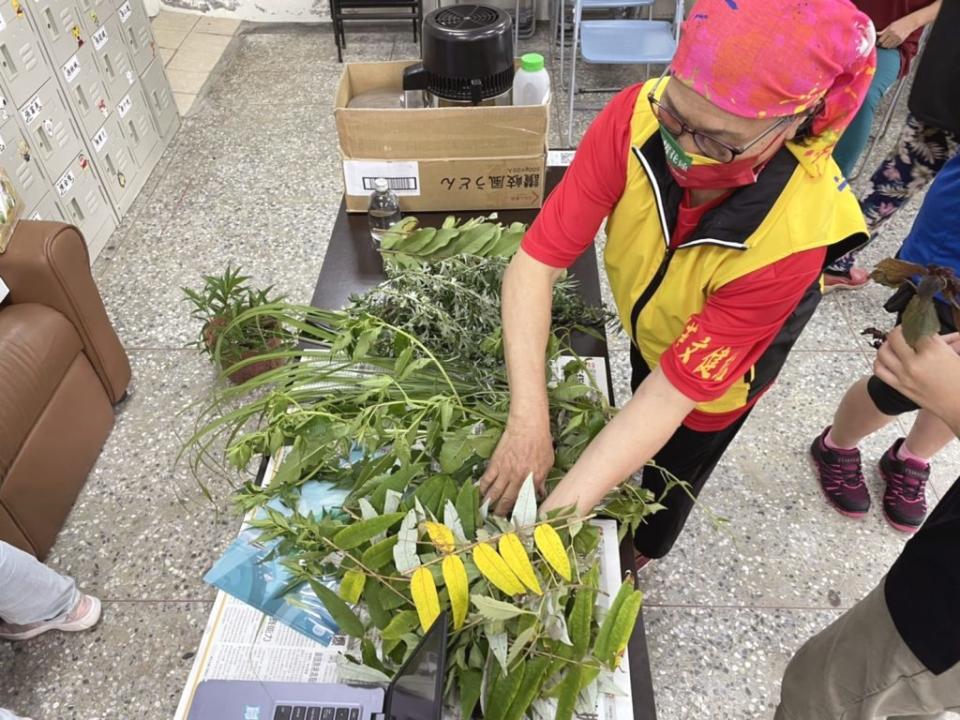 踏查大禮部落山胡椒的種植。(花蓮區農改場提供)