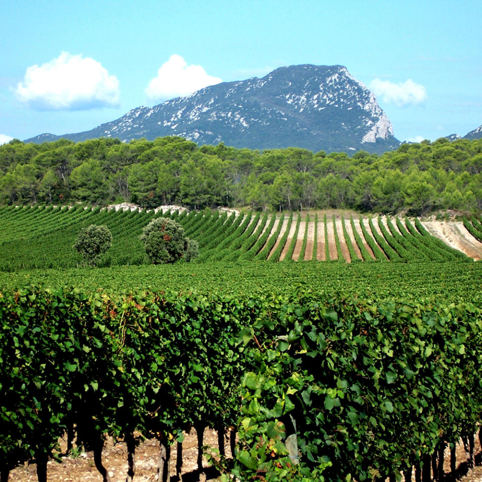 6/12 - La région Languedoc-Roussillon