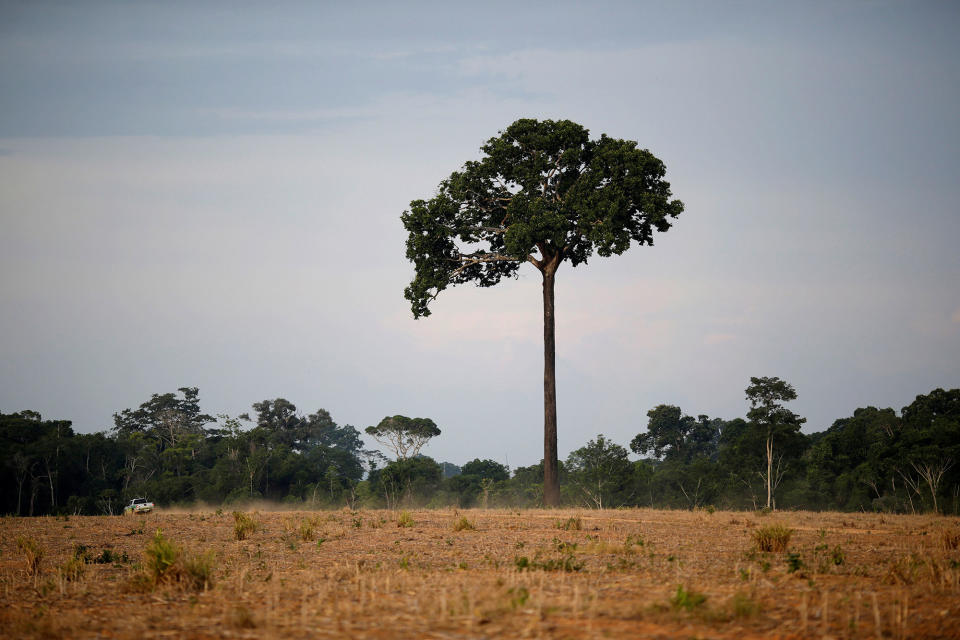 Brazil’s Amazon guardians