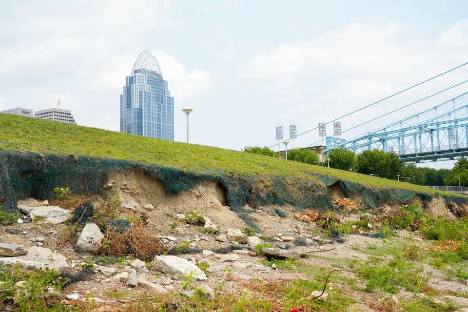 Smale Riverfront Park, opened in 2012, needs fixes along the banks of the Ohio River. Smale is safe, according to Parks officials, but just west of Roebling Bridge the park needs to be shored up for the long-term preservation of the park.