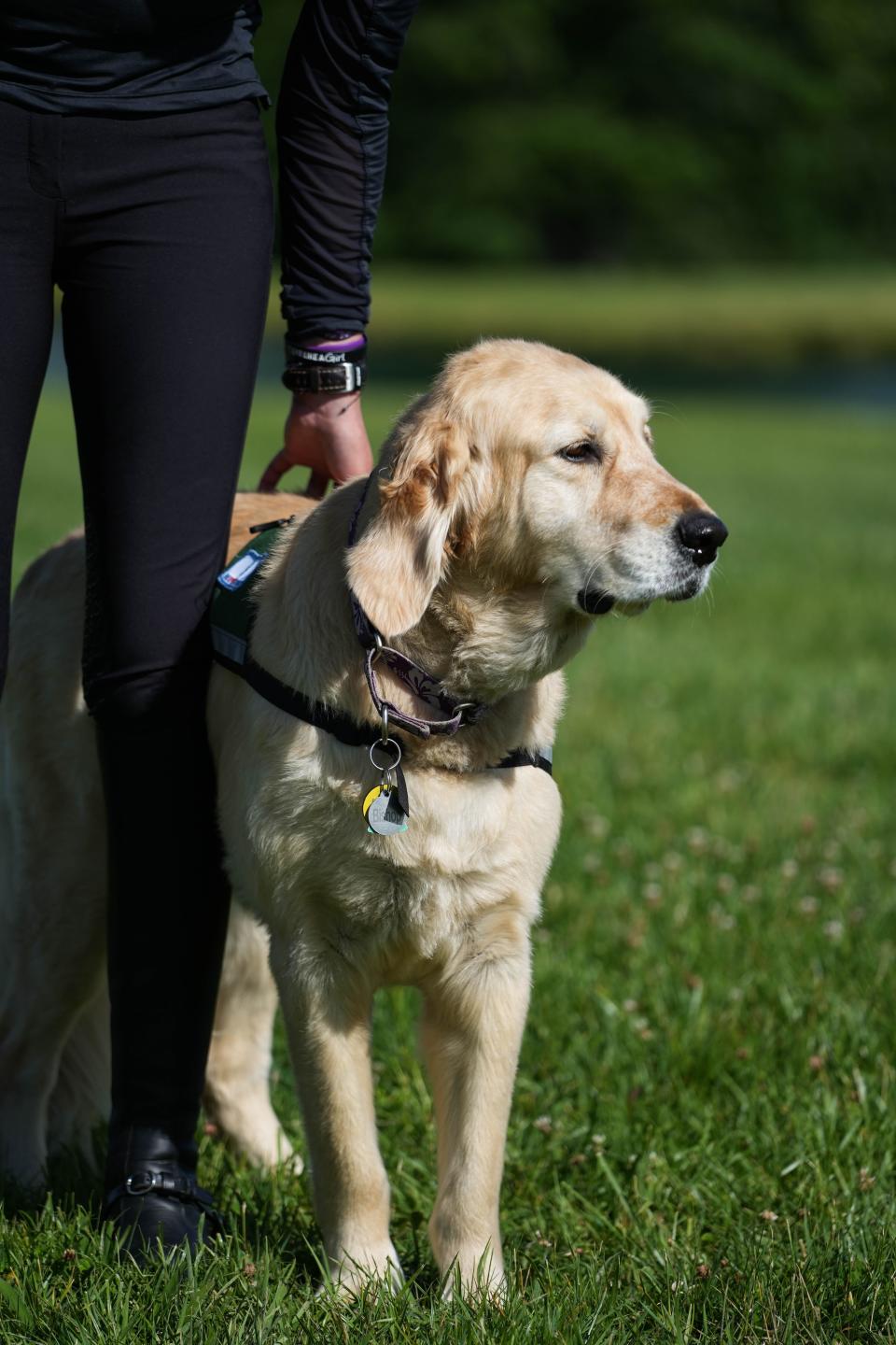 Channing Seideman's service dog, Bishop, helps alert her to seizures.