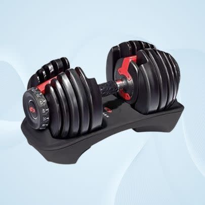 Bowflex SelectTech 552 adjustable dumbbell