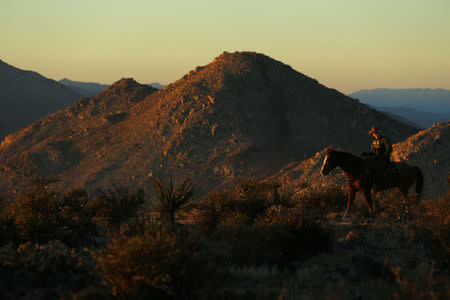 A U.S. Border Patrol agent from Boulevard Station looks out over the U.S.-Mexico border as he patrols in the hills near Jacumba, California, U.S., November 14, 2016. REUTERS/Mike Blake