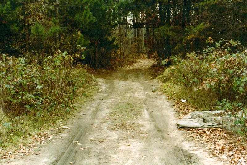 The place where Karen Umphrey's body was found in November 1980. The camera is pointing southeast.
