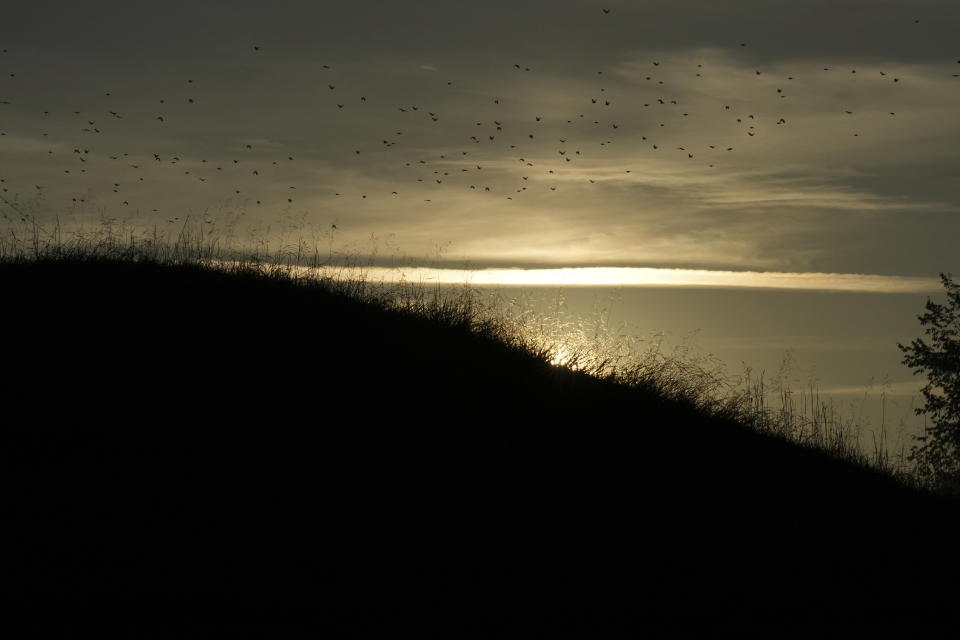 The sun rises over one of the Twin Mounds at Fort Ancient Earthworks, Tuesday, Sept. 19, 2023, in Oregonia Ohio. Fort Ancient is part of a network of ancient American Indian ceremonial and burial mounds around Ohio that were added to the list of UNESCO World Heritage sites. (AP Photo/Joshua A. Bickel)