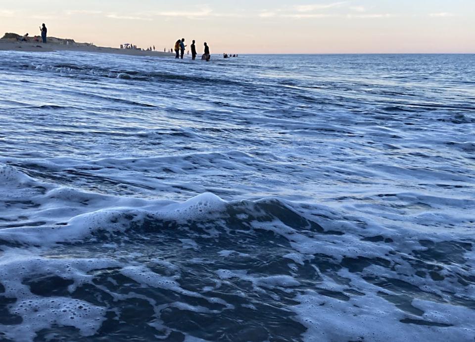 Cape Henlopen State Park is quiet after a busy day.