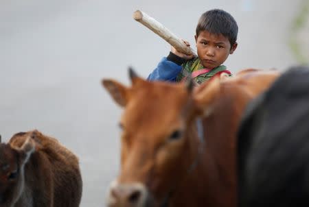 A boy walks down a road as he looks for his oxen in Mongmao, Wa territory in northeast Myanmar October 1, 2016. Picture taken on October 1, 2016. REUTERS/Soe Zeya Tun