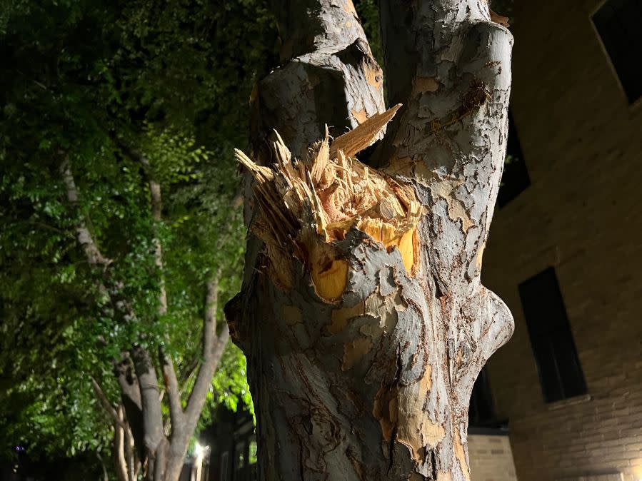 Damage to cars, street signs, etc. along East 9th Street near Embassy Drive after an 18-wheeler crashed into 10 parked vehicles overnight April 22, 2024 (KXAN Photo/Todd Bailey)