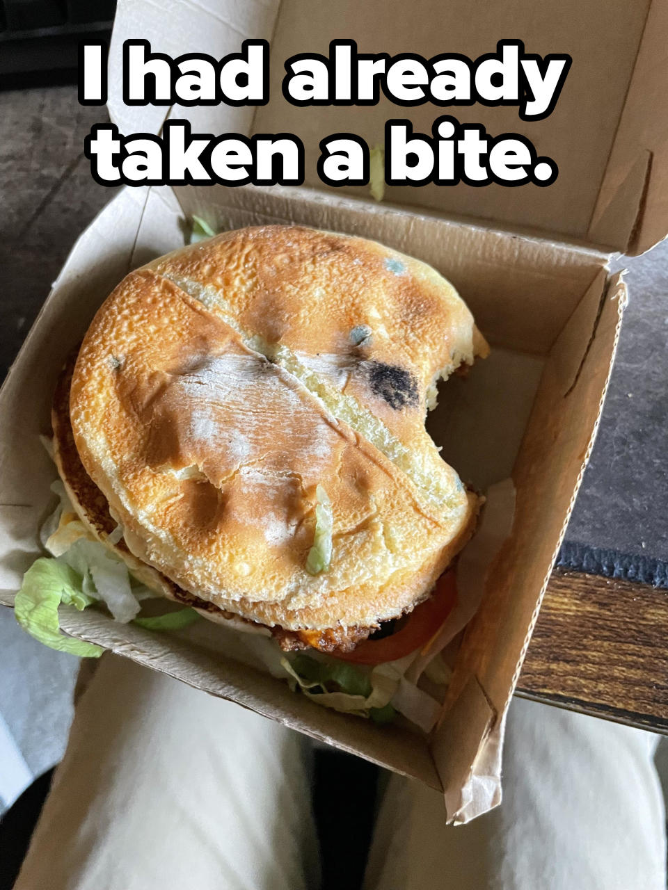 hamburger bun with mold on it