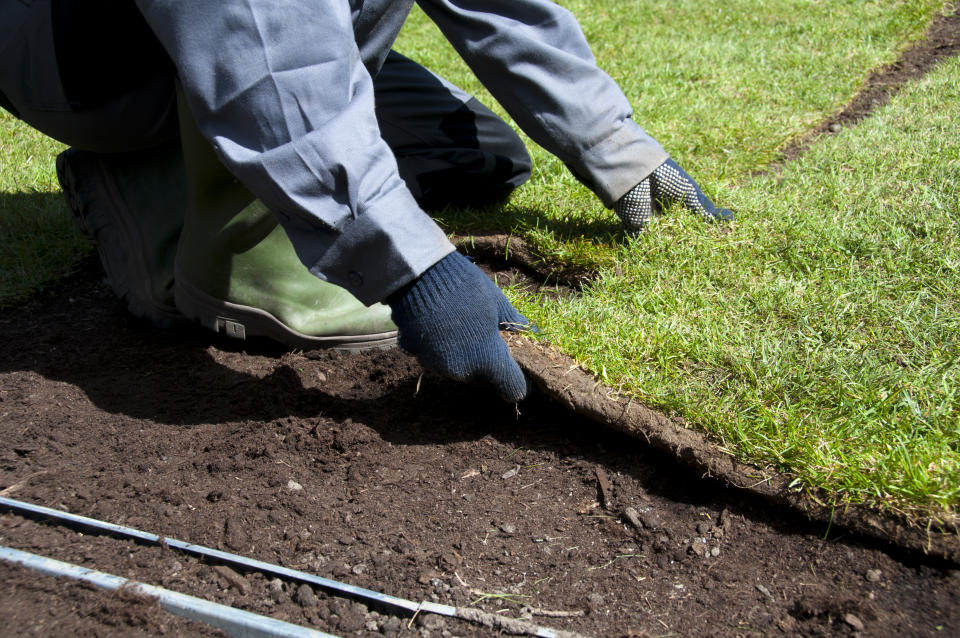 Making a new lawn with fresh turf. Working in the garden