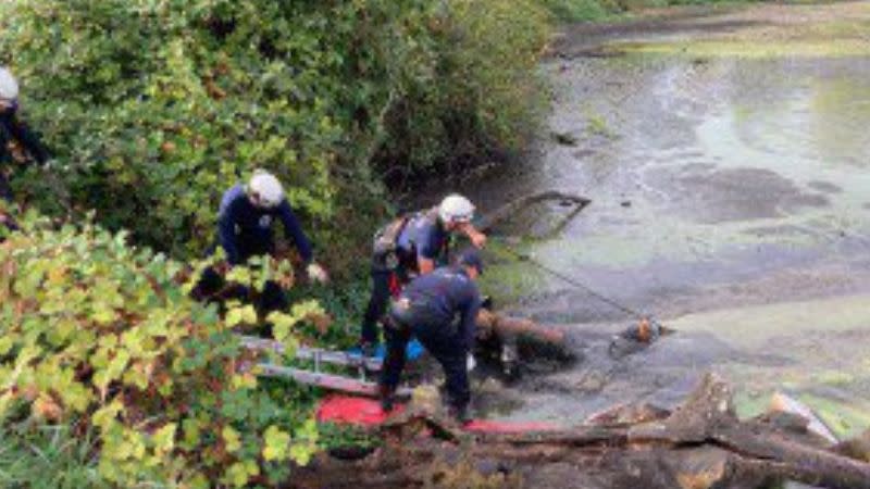 <em>Fire crews rescue Christopher Pray who was stuck in a pond in north Portland (PF&R)</em>