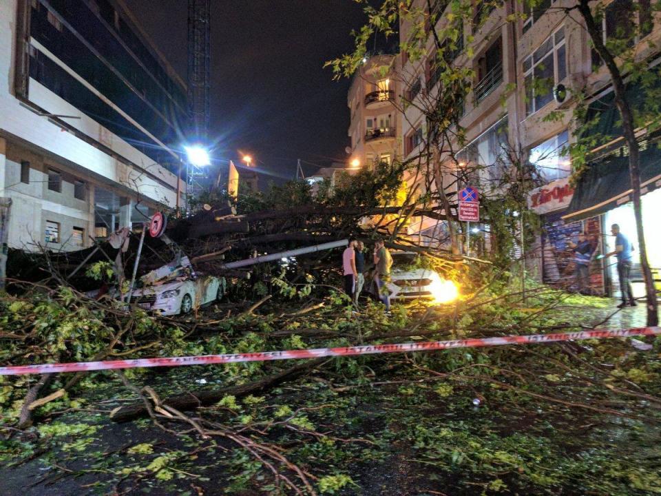 Closures: Trees and debris left the Turkish streets obliterated (Edouard Benadava)