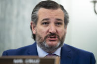 Sen. Ted Cruz, R-Texas, questions nominee for Secretary of Commerce, Gina Raimondo, during her Senate Commerce, Science, and Transportation Committee confirmation hearing, Tuesday, Jan. 26, 2021, on Capitol Hill in Washington. (Tom Williams/Pool via AP)