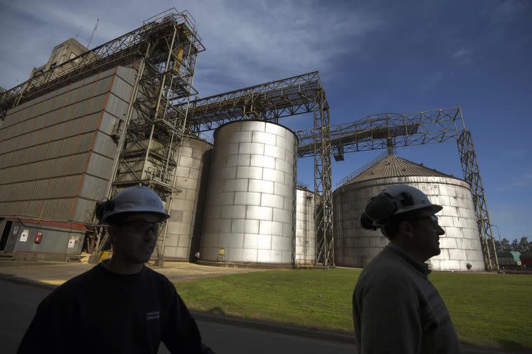 View of storage tanks at the industrial complex of the Louis Dreyfus Company in General Lagos, Santa Fe province, Argentina on September 13, 2017. 
After a stoppage of one month, Argentina's biodiesel exports restart with the European market, Spain in particular, as buyer. Argentina can produce 4.5 million tons of vegetal oil --the base for biodiesel, used mainly in cars-- per year, from which one million for the local market.  / AFP PHOTO / EITAN ABRAMOVIC