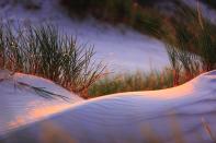 La duna più alta, chiamata Czolpinko, raggiunge i 56 metri ed è la regina indiscussa del Parco. La zona ospita oltre 250 specie di uccelli e 830 specie vegetali, alcune hanno trovato posto sulle dune, altre tra i laghetti e le foreste circostanti: proprio questo ecosistema variegato e la sua preservazione hanno portato il Parco Nazionale tra le riserve della biosfera UNESCO. (Pixabay)