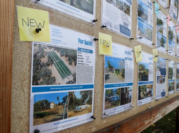 New real estate listings fill a board at a realty office in Covelo, California.  Some listings denote cannabis farms.  Prices have skyrocketed in Mendocino County.