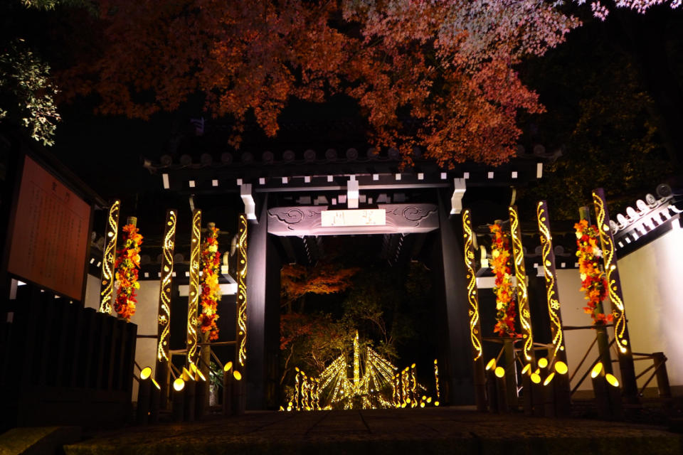 東京冬季浪漫點燈之紅葉名所