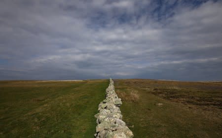 Stratocumulus cloudsare seen above the 'Halfway Wall' during the Cloud Appreciation Society's gathering in Lundy