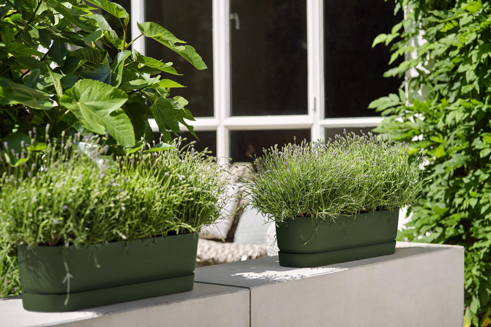 11. Give self-watering plant pots a go