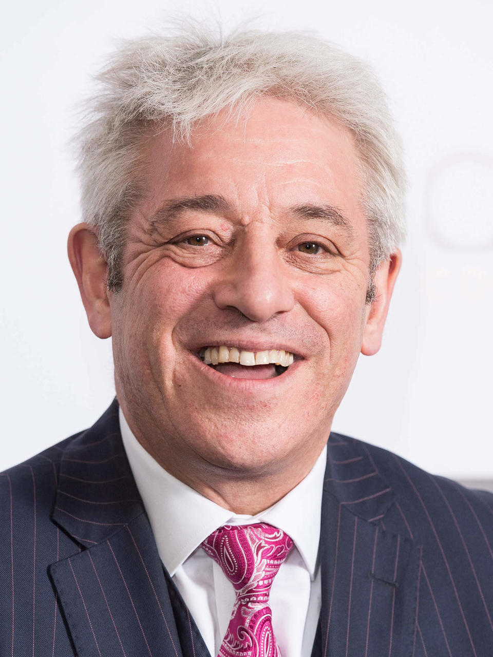 John Bercow (Jeff Spicer / Getty Images)